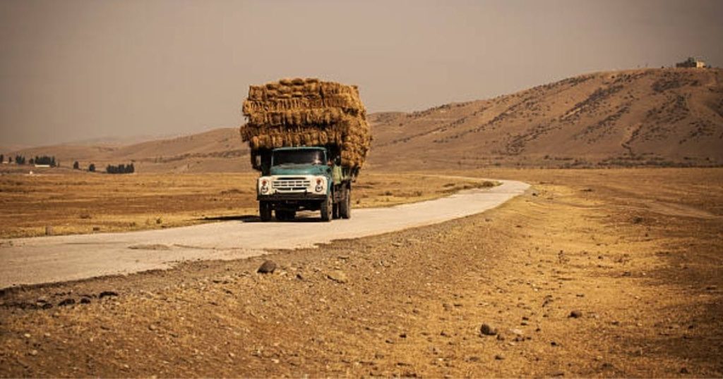 A tall pickup truck can transport oversized loads